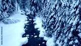 preview cold