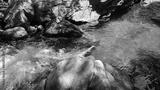 preview bw