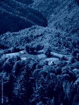 preview cold