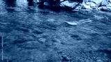 preview cold