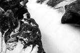preview bw