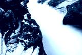 preview cold
