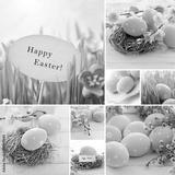 preview bw