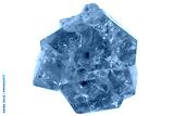preview cold