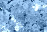 preview cold