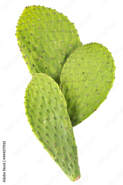 image to crop