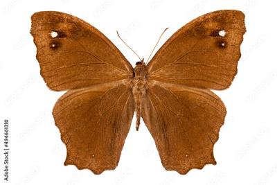 image to crop