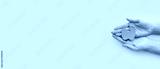 preview cold
