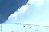 preview cold