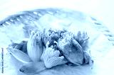 preview cold