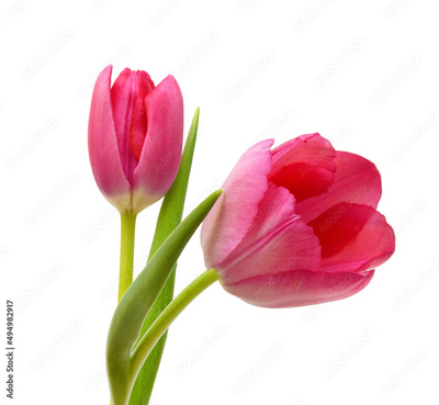 image to crop
