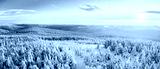 preview cold