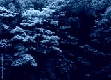 preview cold