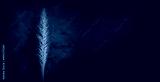 preview cold