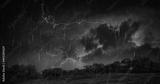 preview bw