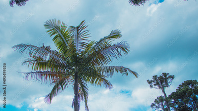 image to crop