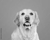 preview bw