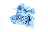 preview cold