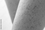 preview bw