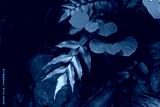 preview cold