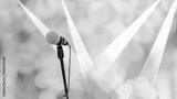 preview bw