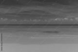 preview bw