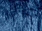 preview cold