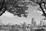preview bw