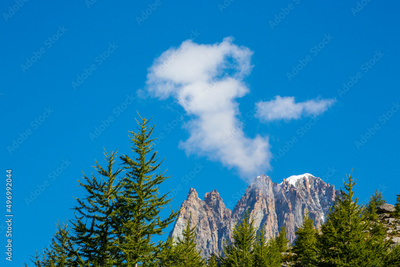 image to crop