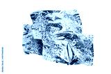 preview cold