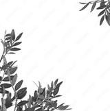 preview bw
