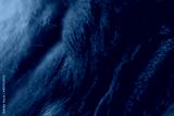 preview cold