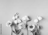 preview bw