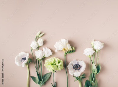 image to crop
