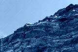 preview cold
