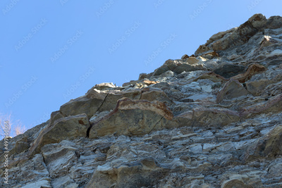 image to crop
