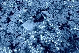 preview cold