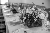 preview bw
