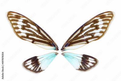 image to crop