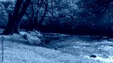 preview cold