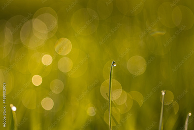 image to crop