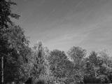 preview bw