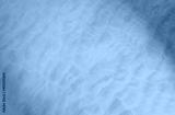 preview cold