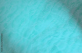 preview original
