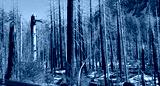 preview cold