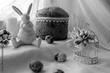 preview bw