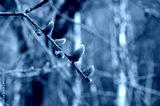 preview cold