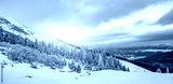 preview cold