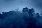 preview cold