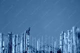 preview cold